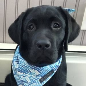 Meet your Posher, Alix